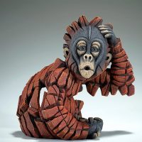 Bébé orang-outan se grattant la tête, par edge sculpture