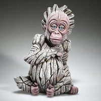 Bébé orang-outan "Alba" blanc par Matt Buckley